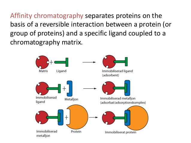 Immobilized Affinity Ligand Techniques